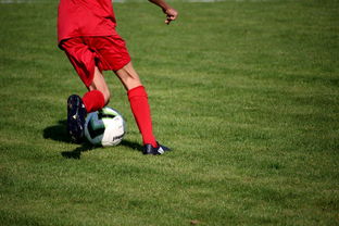 九游娱乐(jiuyou)官方网站-体育新闻中心发布体育短视频内容运营新策略，体育短视频存在的问题